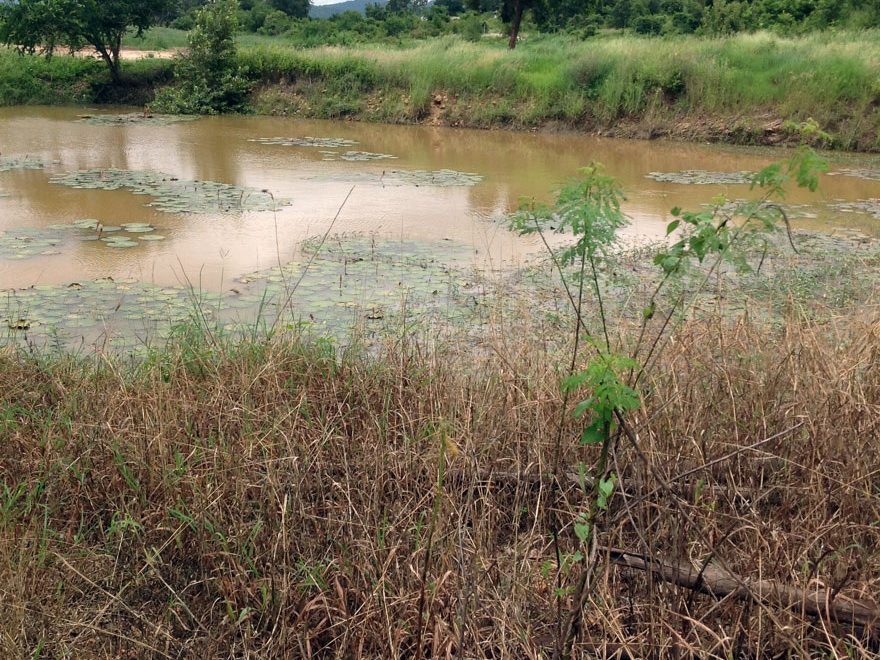 Large Land for Sale in Pranburi