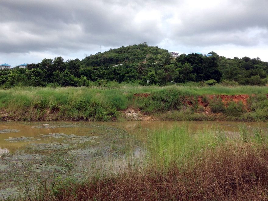 Large Land for Sale in Pranburi